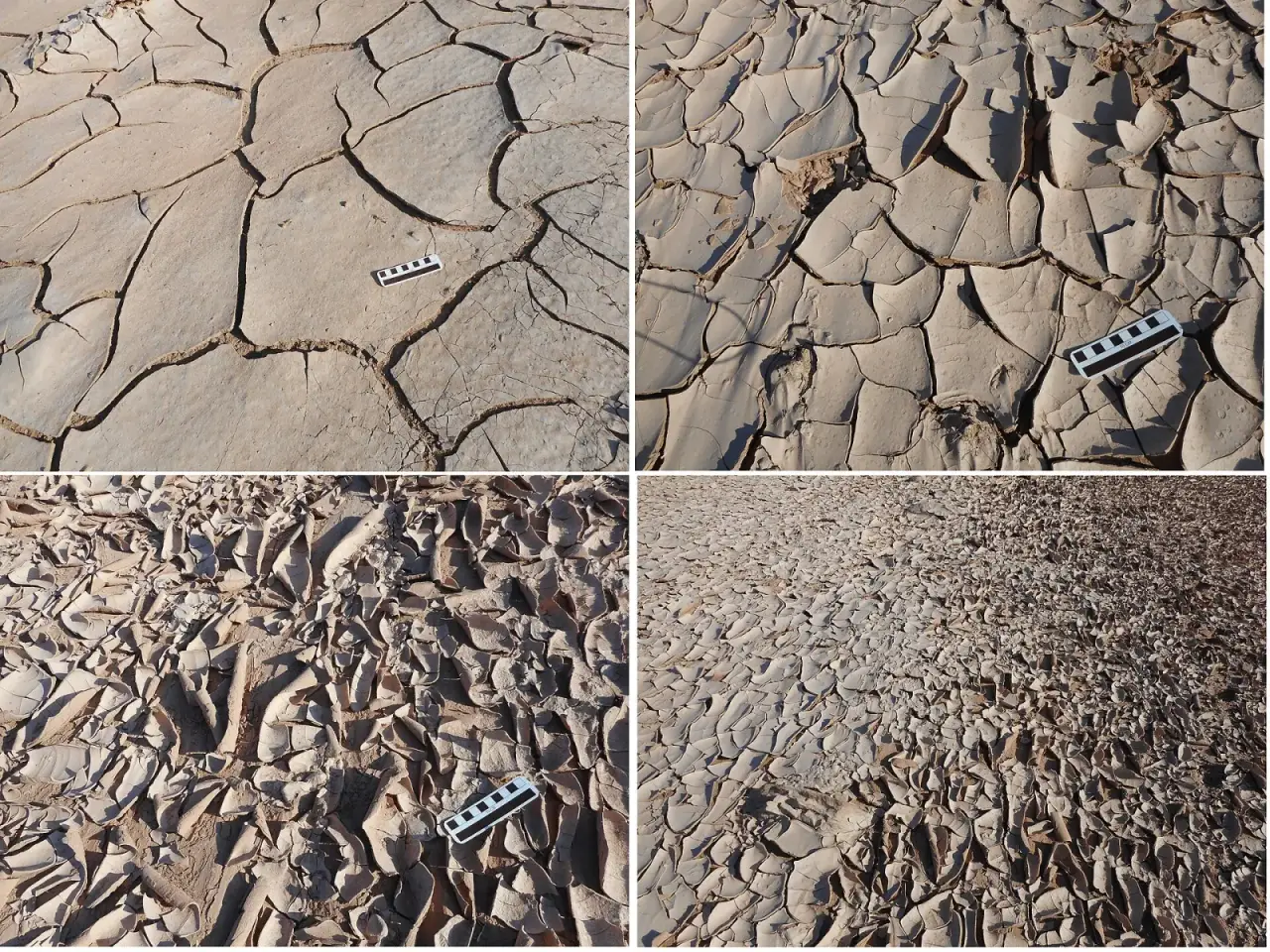 Desiccation cracks in dried clay at the mouth of a wash in Emery County, Utah